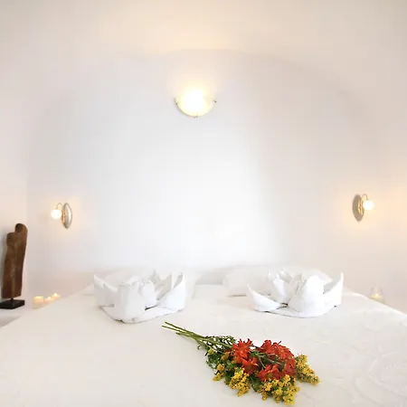 Apartment Vip